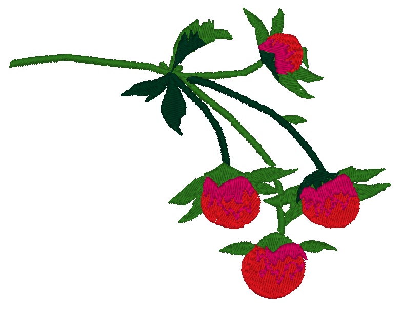 Erdbeeren

Größe: 13,0*10,0 cm

Material: Viskosestickgarn und Viesunterlage

Eigenschaften: besonders hautfreundlich, kochfest

                             überbügelbar auf Stufe 2

Artikelnummer: 20310

Preis: 9,99 incl. MwSt.